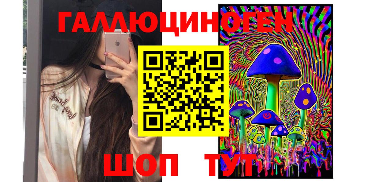 Галлюциногенные грибы Psilocybe Солнечногорск