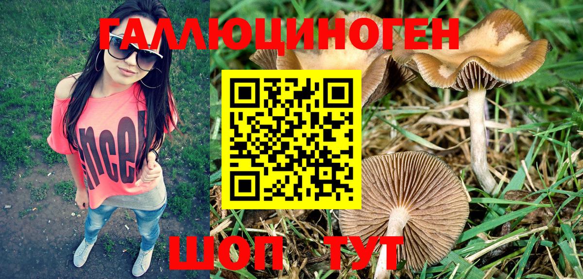Солнечногорск  купить  сайты  Вход с VPN  Псилоцибиновые грибы GOLDEN TEACHER 
